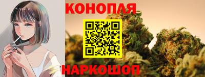 индика Коммунар