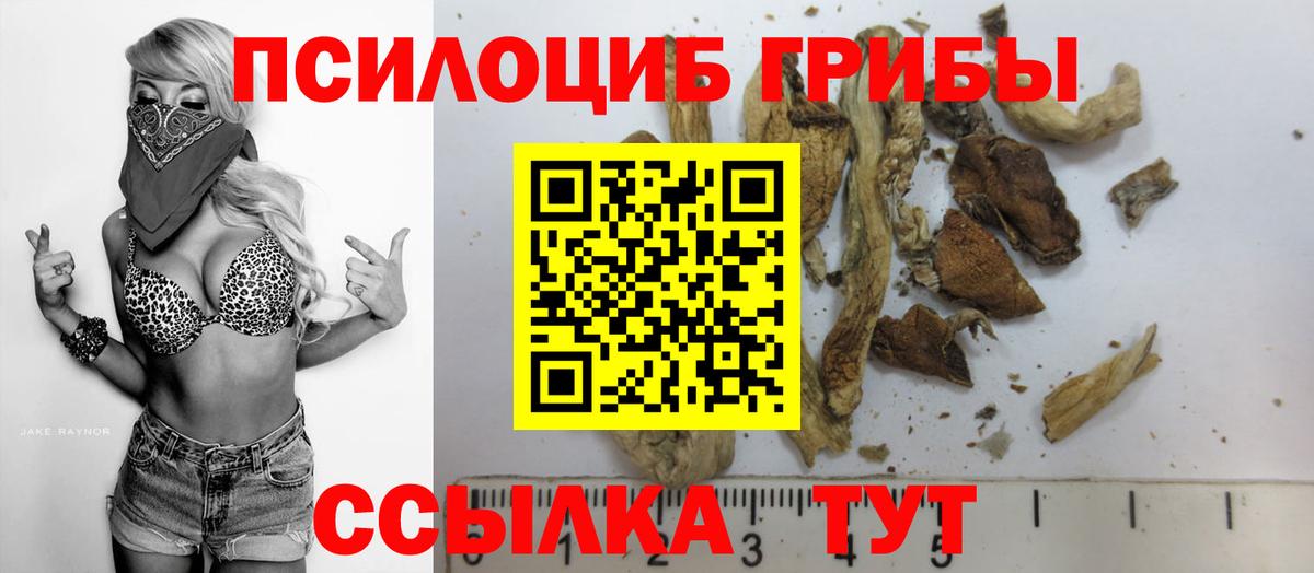 Псилоцибиновые грибы Psilocybe Вятские Поляны